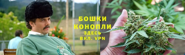 сатива Няндома