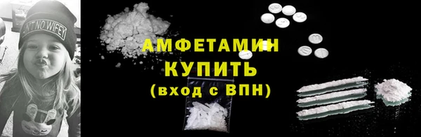 сатива Няндома