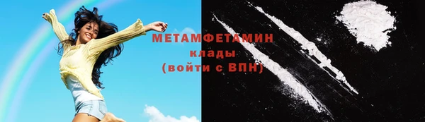 сатива Няндома