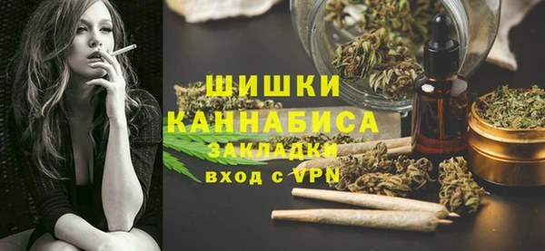 сатива Няндома