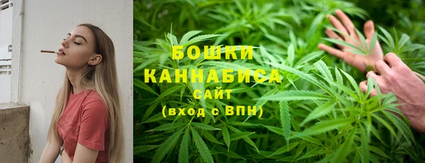 альфа пвп Нязепетровск