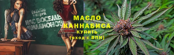 сатива Няндома