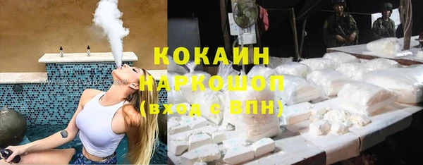сатива Няндома