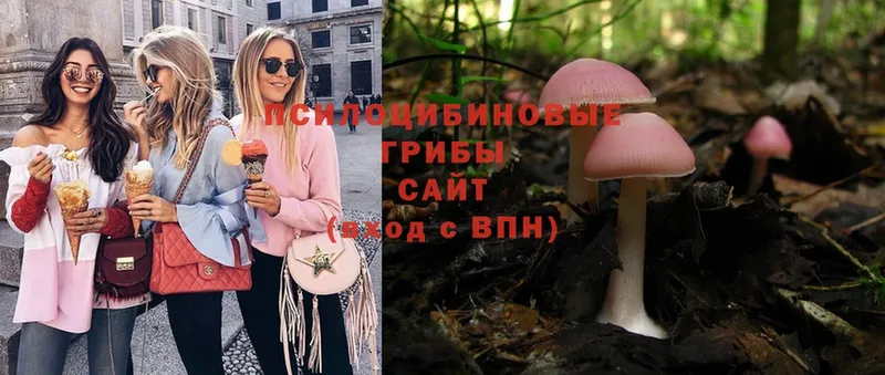 сколько стоит  Луховицы  Псилоцибиновые грибы Magic Shrooms 