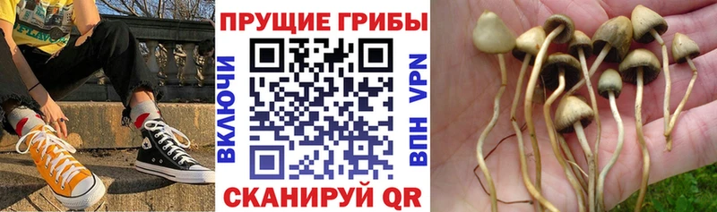 Псилоцибиновые грибы MAGIC MUSHROOMS  Луховицы 