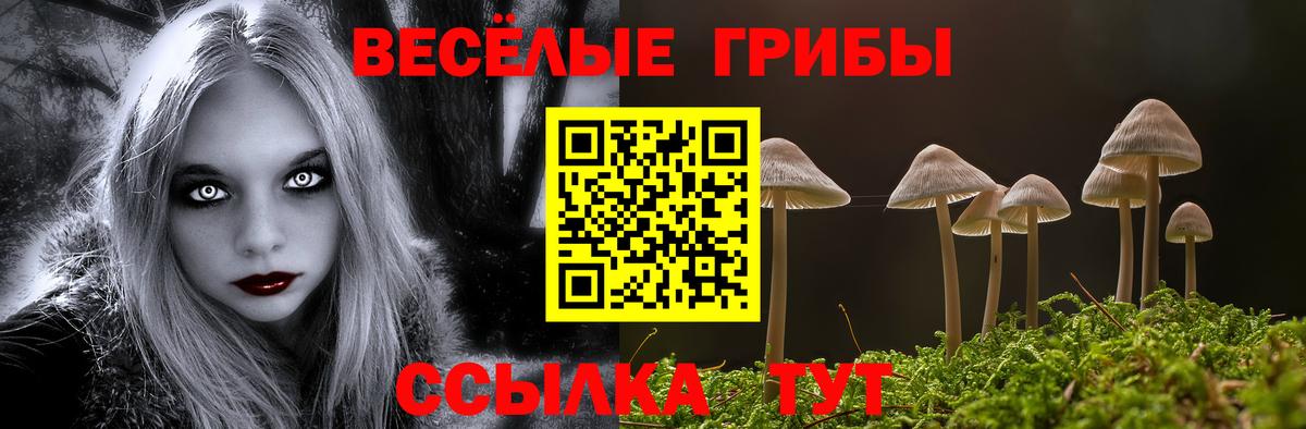 Псилоцибиновые грибы мицелий  Вход с VPN  Луховицы 